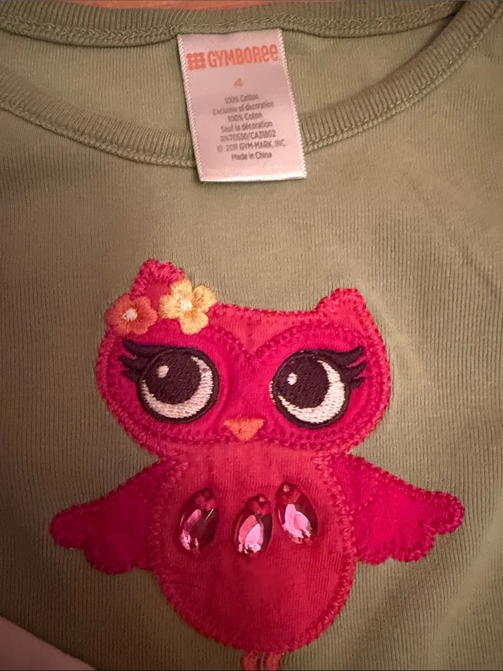 Gymboree Green Long Sleeve Top with Pink Owl Applique